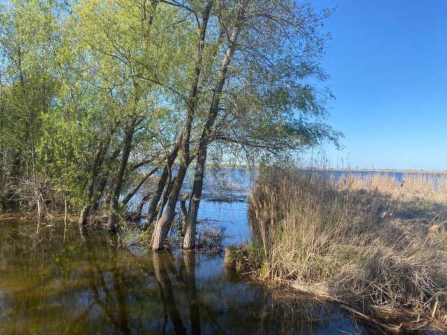 Продажа коммерческой недвижимости, 4000м <sup>2</sup>, Саратов, Саратовская область,  Энгельс