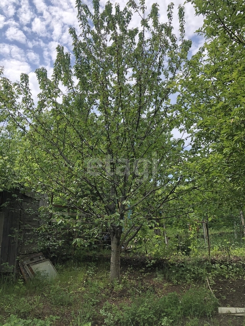 Продажа участка, Саратов, Саратовская область,  Саратов