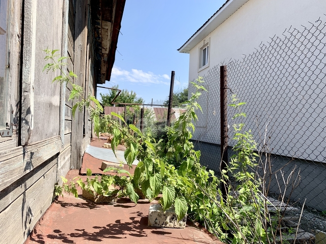 Продажа дома, 50м <sup>2</sup>, 5 сот., Саратов, Саратовская область,  Ленинский