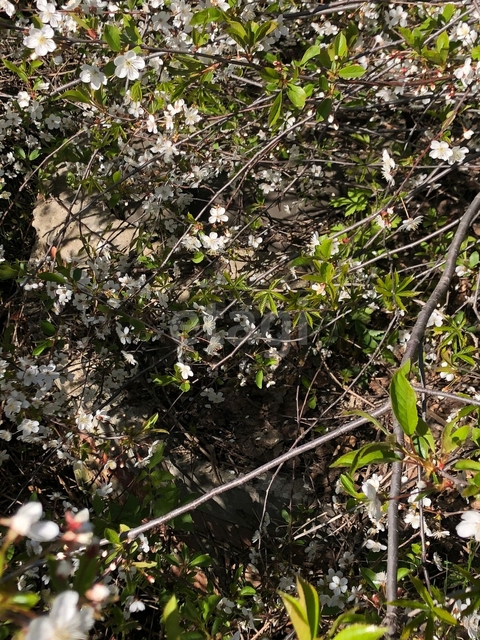 Продажа участка, Саратов, Саратовская область,  Саратов