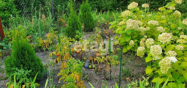 Продажа дачи, 34м <sup>2</sup>, 8 сот., Саратов, Саратовская область,  Ленинский