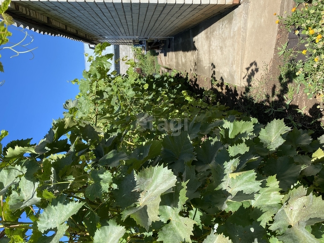 Продажа дачи, 24м <sup>2</sup>, 4 сот., Саратов, Саратовская область,  Энгельс