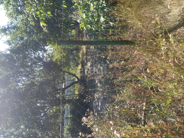 Продажа участка, Саратов, Саратовская область,  Саратов