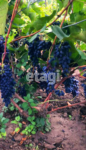 Продажа дома, 57м <sup>2</sup>, 8 сот., Саратов, Саратовская область,  Энгельсский