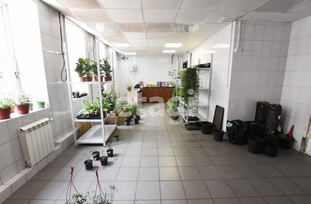 Продажа коммерческой недвижимости, 199м <sup>2</sup>, Саратов, Саратовская область,  Саратов