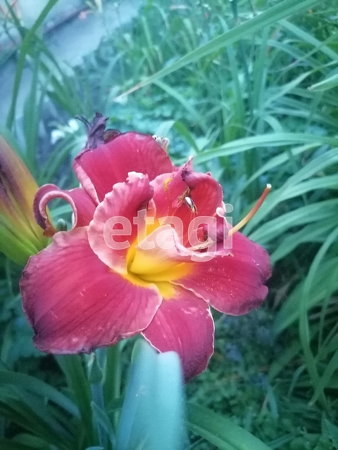 Продажа дачи, 100м <sup>2</sup>, 7 сот., Саратов, Саратовская область,  Саратов