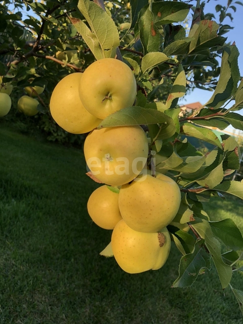 Продажа дома, 294м <sup>2</sup>, 13 сот., Саратов, Саратовская область,  Энгельс