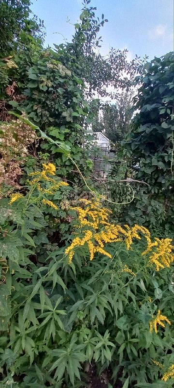 Продажа участка, Саратов, Саратовская область,  Волжский 