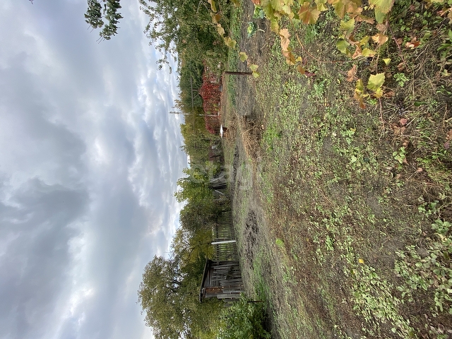 Продажа дома, 29м <sup>2</sup>, 7 сот., Саратов, Саратовская область,  Заводской