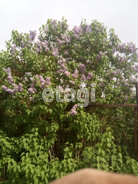 Продажа дачи, 40м <sup>2</sup>, 8 сот., Саратов, Саратовская область,  