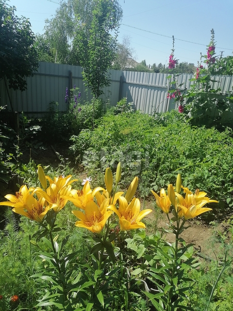 Продажа дома, 70м <sup>2</sup>, 7 сот., Саратов, Саратовская область,  Саратов