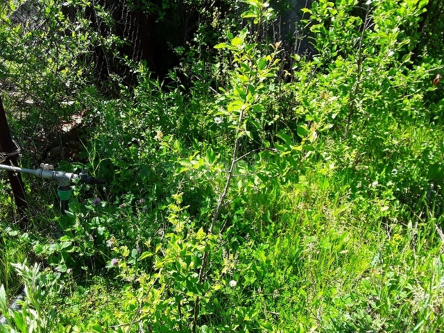 Продажа участка, Саратов, Саратовская область,  Саратов