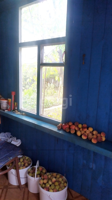 Продажа дома, 49м <sup>2</sup>, 6 сот., Саратов, Саратовская область,  