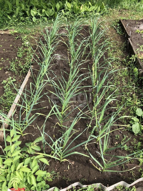 Продажа участка, Саратов, Саратовская область,  Саратов