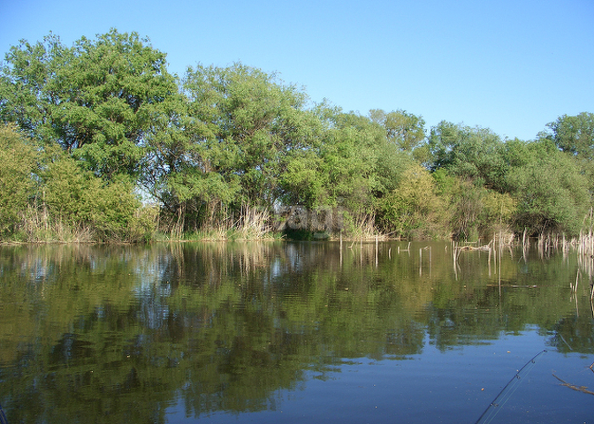 Продажа участка, Саратов, Саратовская область,  