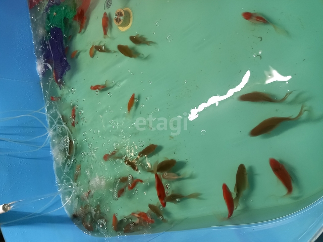 Продажа коммерческой недвижимости, 219м <sup>2</sup>, Саратов, Саратовская область,  Саратов