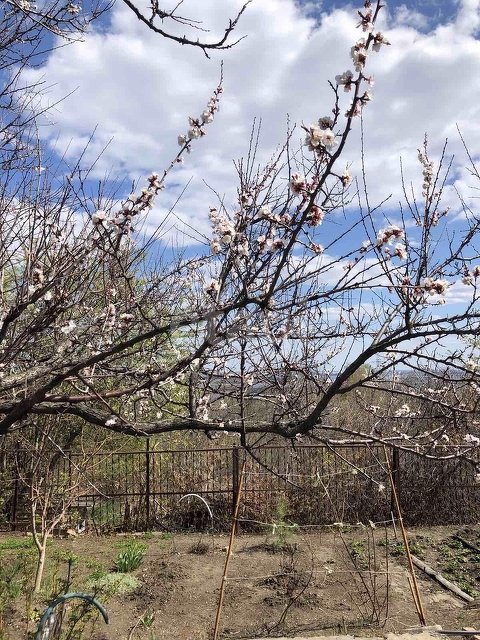 Продажа участка, Саратов, Саратовская область,  Саратов