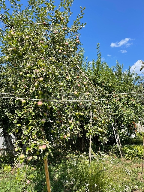 Продажа дачи, 57м <sup>2</sup>, 8 сот., Саратов, Саратовская область,  