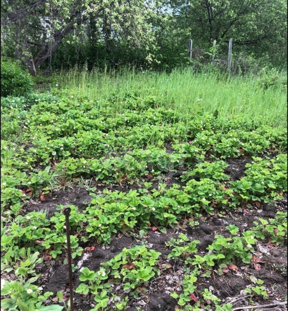 Продажа дачи, 12м <sup>2</sup>, 4 сот., Саратов, Саратовская область,  