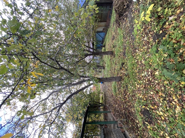 Продажа дома, 29м <sup>2</sup>, 7 сот., Саратов, Саратовская область,  Заводской