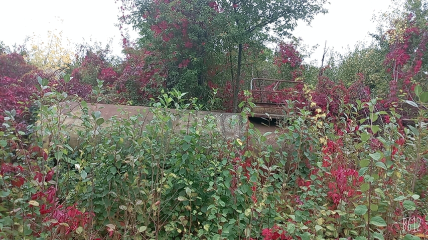 Продажа дачи, 31м <sup>2</sup>, 8 сот., Саратов, Саратовская область,  