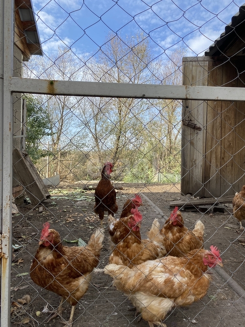 Продажа дома, 76м <sup>2</sup>, 20 сот., Саратов, Саратовская область,  Саратов