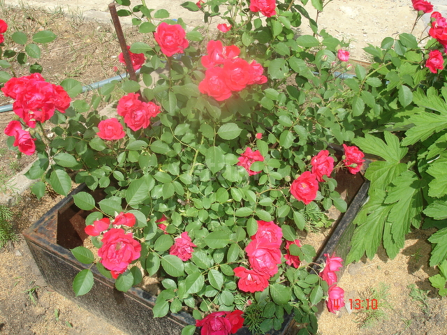 Продажа дома, 144м <sup>2</sup>, 5 сот., Саратов, Саратовская область,  Саратов