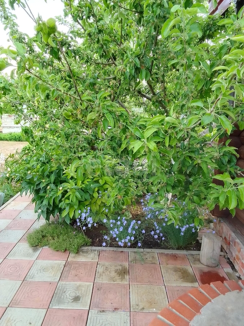 Продажа дачи, 24м <sup>2</sup>, 3 сот., Саратов, Саратовская область,  Энгельс