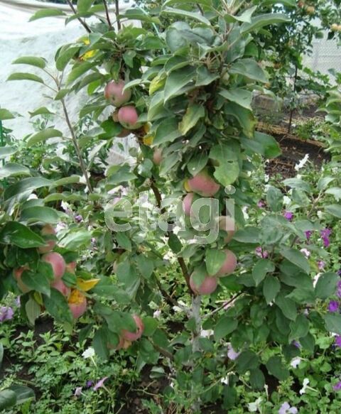 Продажа дачи, 26м <sup>2</sup>, 6 сот., Саратов, Саратовская область,  Саратов