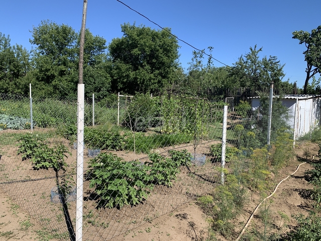 Продажа 3-комнатной квартиры, Саратов, Саратовская область,  Энгельс