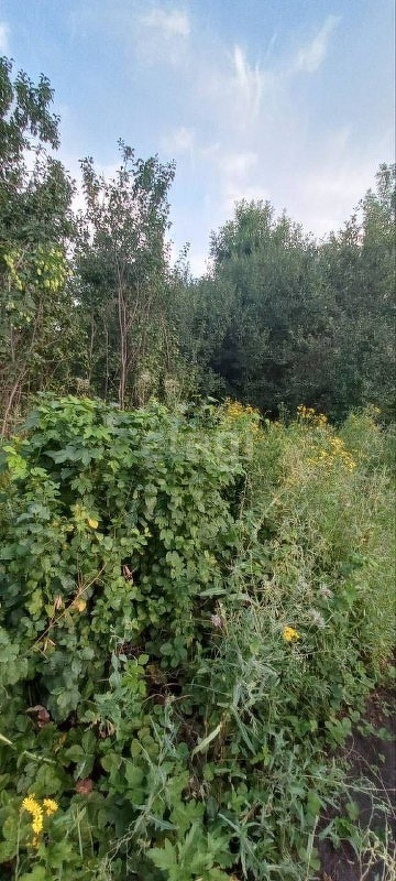 Продажа участка, Саратов, Саратовская область,  Волжский 