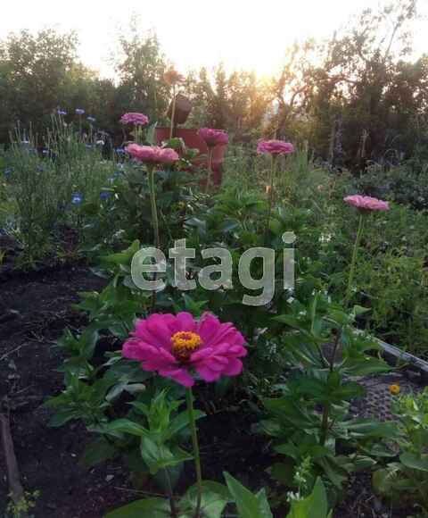 Продажа дачи, 54м <sup>2</sup>, 11 сот., Саратов, Саратовская область,  Саратов