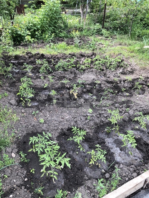 Продажа участка, Саратов, Саратовская область,  Саратов