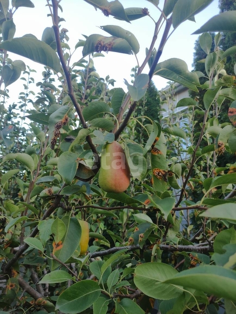 Продажа дома, 96м <sup>2</sup>, 7 сот., Саратов, Саратовская область,  Волжский 