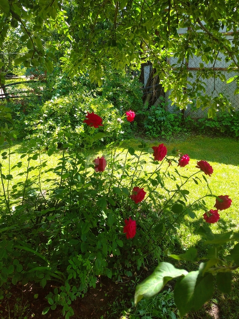 Продажа дачи, 60м <sup>2</sup>, 12 сот., Саратов, Саратовская область,  Энгельс