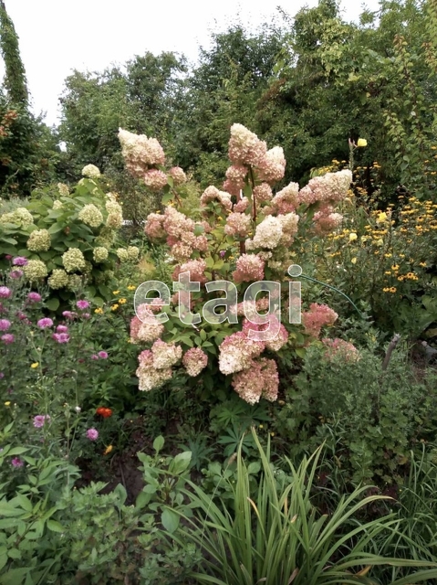 Продажа дачи, 12м <sup>2</sup>, 5 сот., Саратов, Саратовская область,  Энгельс