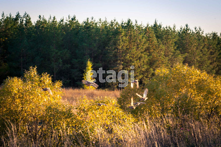 Продажа коммерческой недвижимости, 500м <sup>2</sup>, Саратов, Саратовская область,  Красный Кут