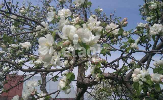 Продажа дачи, 54м <sup>2</sup>, 11 сот., Саратов, Саратовская область,  Саратов