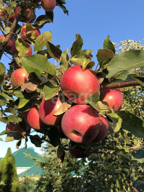 Продажа дома, 294м <sup>2</sup>, 13 сот., Саратов, Саратовская область,  Энгельс