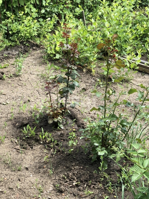 Продажа участка, Саратов, Саратовская область,  Саратов