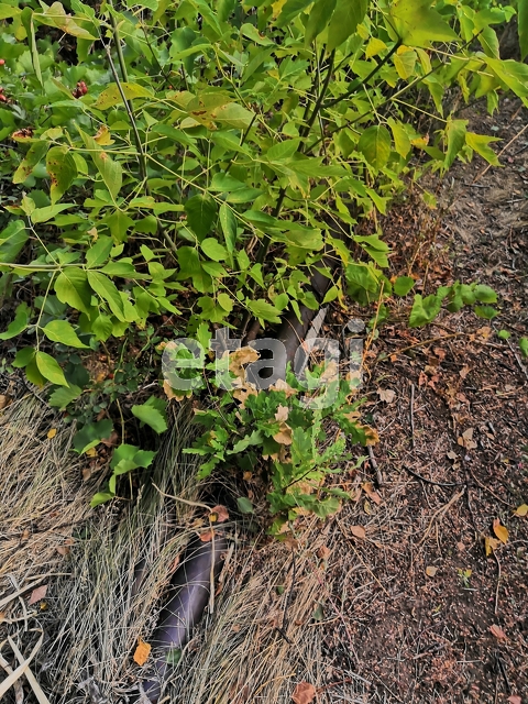 Продажа участка, Саратов, Саратовская область,  Кировский