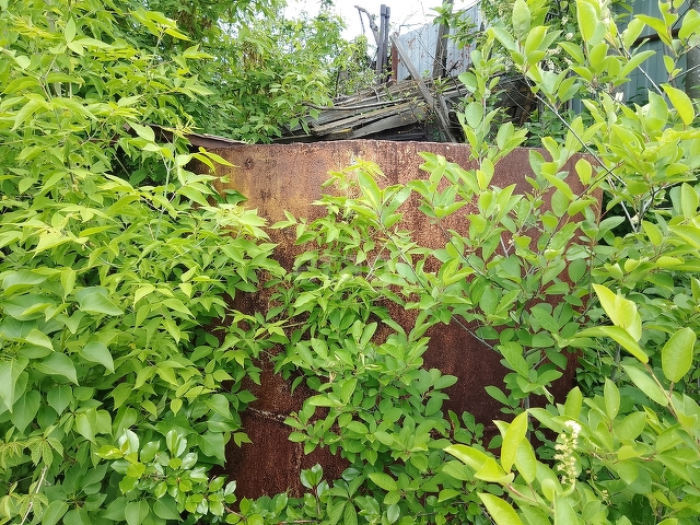 Продажа участка, Саратов, Саратовская область,  Ленинский