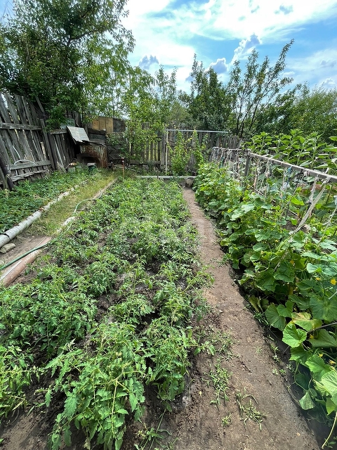 Продажа дачи, 75м <sup>2</sup>, 5 сот., Саратов, Саратовская область,  Ленинский