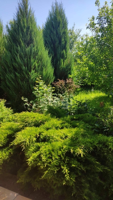 Продажа дачи, 40м <sup>2</sup>, 4 сот., Саратов, Саратовская область,  