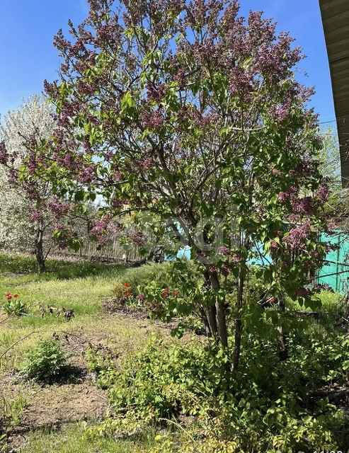 Продажа дачи, 40м <sup>2</sup>, 7 сот., Саратов, Саратовская область,  Энгельс