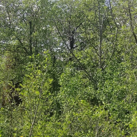 Продажа участка, Саратов, Саратовская область,  Саратов