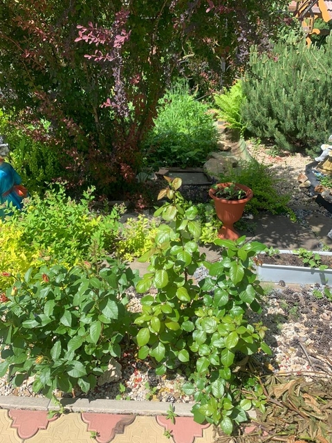 Продажа дома, 250м <sup>2</sup>, 5 сот., Саратов, Саратовская область,  