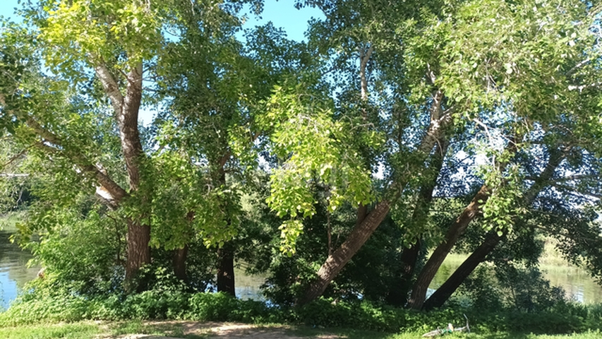 Продажа дома, 294м <sup>2</sup>, 11 сот., Саратов, Саратовская область,  Энгельс