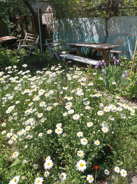 Продажа дачи, 22м <sup>2</sup>, 6 сот., Саратов, Саратовская область,  Заводской