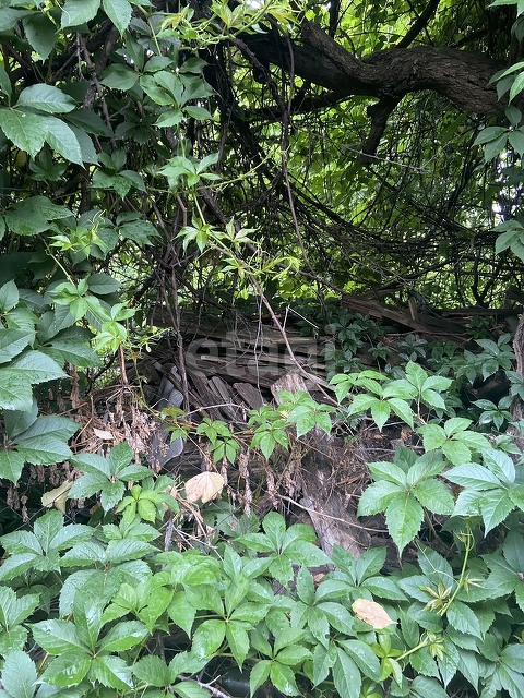 Продажа дома, 26м <sup>2</sup>, 1 сот., Саратов, Саратовская область,  